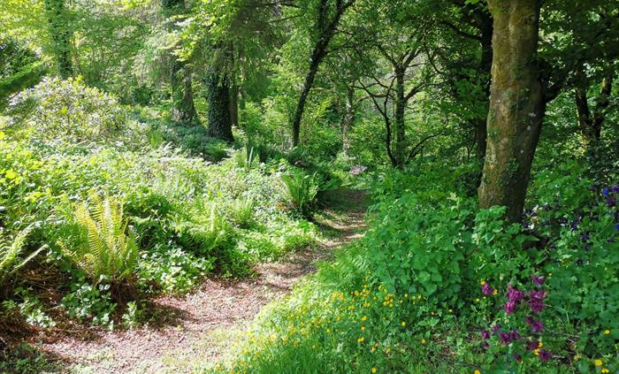 Woodland Walk